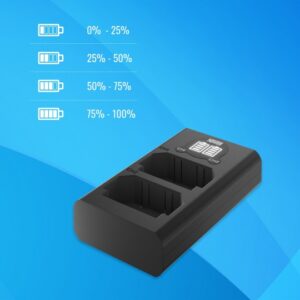 NEWELL DL-USB-C DMW-BLG10 Ładowarka dwukanałowa do akumulatorów DMW-BLG10 do aparatów PANASONIC